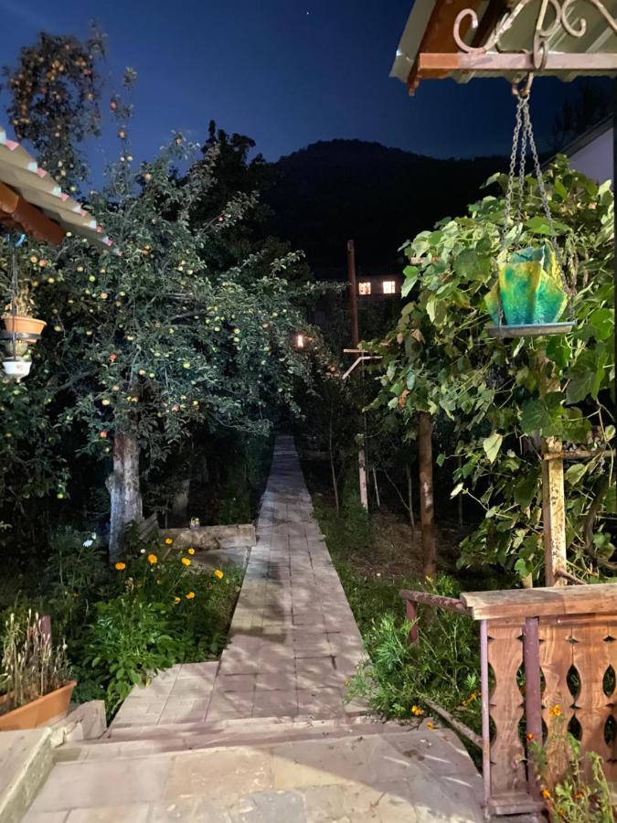 Areguni Guest House Dilidjan Extérieur photo